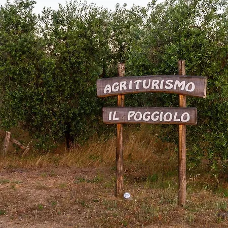 Apartament La Zizzola